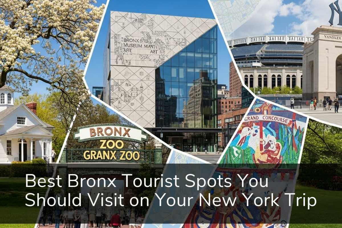 Bronx Tourist Spots