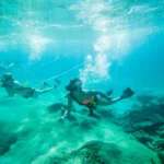 Budget-Friendly Activities in Cozumel