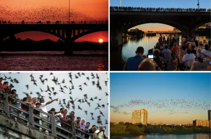 Things to Do in Austin