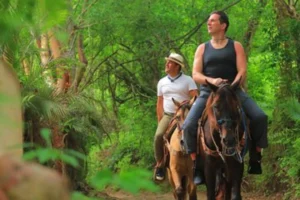 Top Mexico Pack Animal Tours: Unique Riding Experiences You Must Try